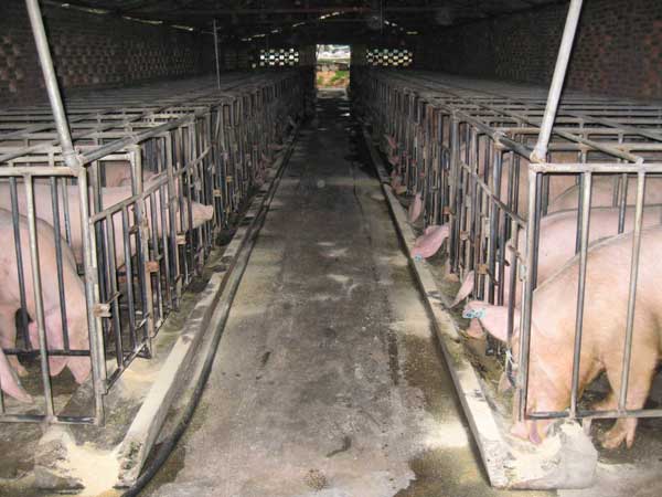 �����ȑ�(y��ng)�����ʽ�ӽ��_�P(gu��n)